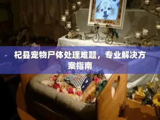 杞县宠物尸体处理难题,专业解决方案指南 杞县宠物尸体处理难题,专业解决方案指南