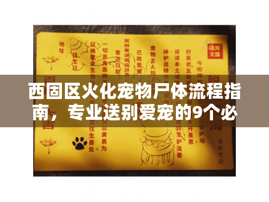 西固区火化宠物尸体流程指南，专业送别爱宠的9个必要步骤