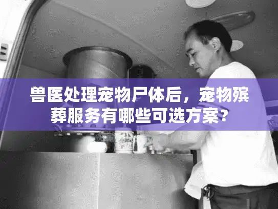 兽医处理宠物尸体后，宠物殡葬服务有哪些可选方案？