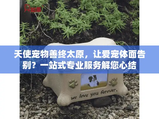 天使宠物善终太原，让爱宠体面告别？一站式专业服务解您心结