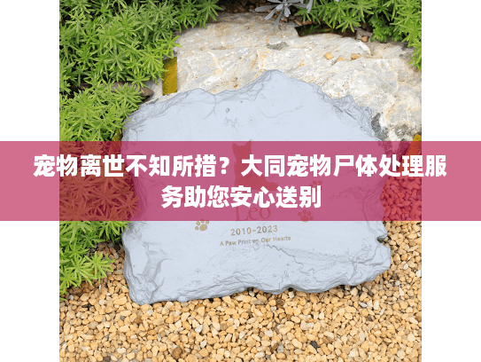 宠物离世不知所措?大同宠物尸体处理服务助您安心送别 宠物离世不知所措?大同宠物尸体处理服务助您安心送别