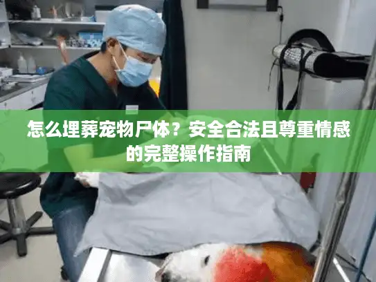 怎么埋葬宠物尸体?安全合法且尊重情感的完整操作指南 怎么埋葬宠物尸体?安全合法且尊重情感的完整操作指南