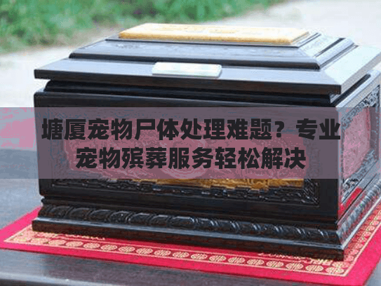 塘厦宠物尸体处理难题？专业宠物殡葬服务轻松解决