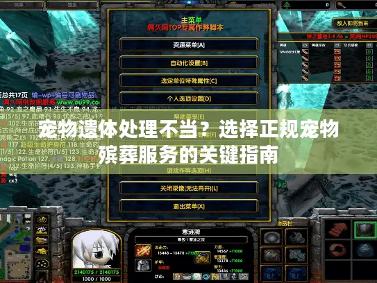 宠物遗体处理不当？选择正规宠物殡葬服务的关键指南