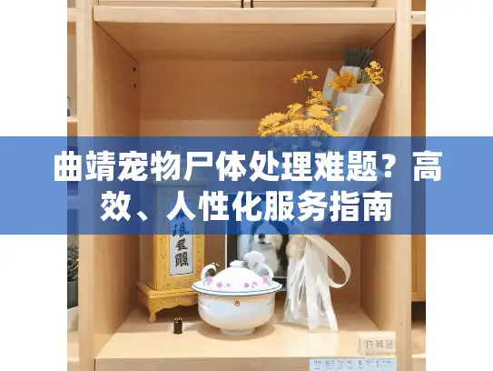 曲靖宠物尸体处理难题？高效、人性化服务指南