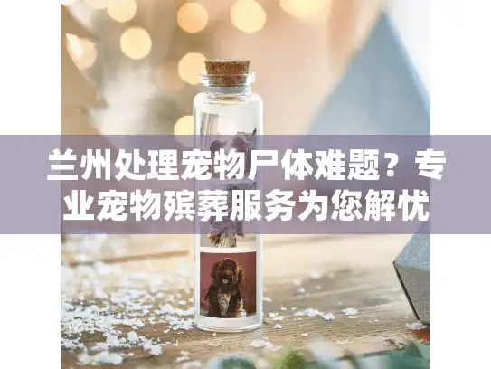 兰州处理宠物尸体难题？专业宠物殡葬服务为您解忧