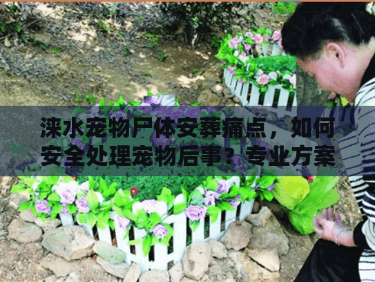 涞水宠物尸体安葬痛点，如何安全处理宠物后事？专业方案解析