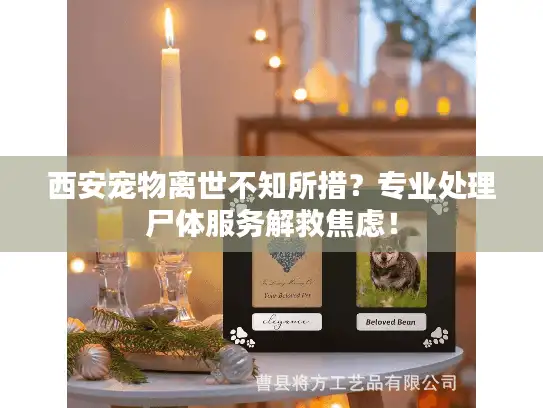 西安宠物离世不知所措?专业处理尸体服务解救焦虑! 西安宠物离世不知所措?专业处理尸体服务解救焦虑!
