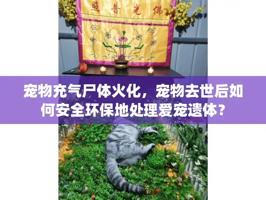 宠物充气尸体火化,宠物去世后如何安全环保地处理爱宠遗体? 宠物充气尸体火化,宠物去世后如何安全环保地处理爱宠遗体?