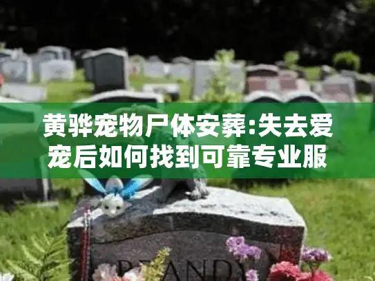 黄骅宠物尸体安葬:失去爱宠后如何找到可靠专业服务?