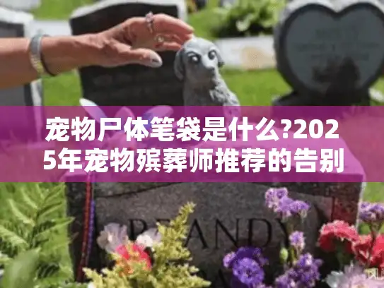 宠物尸体笔袋是什么?2025年宠物殡葬师推荐的告别方案清单 宠物尸体笔袋是什么?2025年宠物殡葬师推荐的告别方案清单