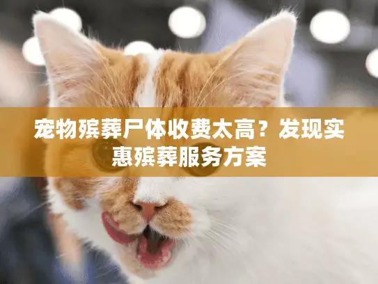 宠物殡葬尸体收费太高?发现实惠殡葬服务方案 宠物殡葬尸体收费太高?发现实惠殡葬服务方案