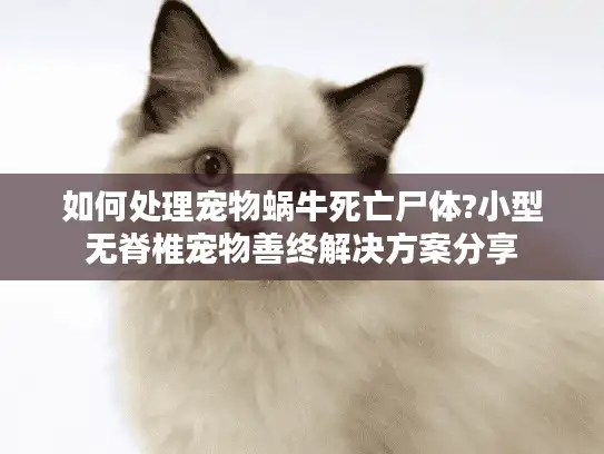 如何处理宠物蜗牛死亡尸体?小型无脊椎宠物善终解决方案分享