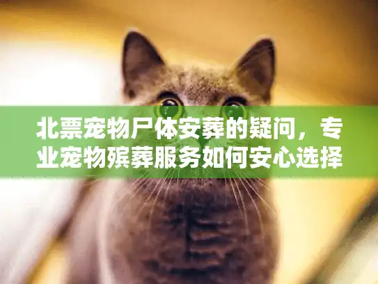 北票宠物尸体安葬的疑问，专业宠物殡葬服务如何安心选择？