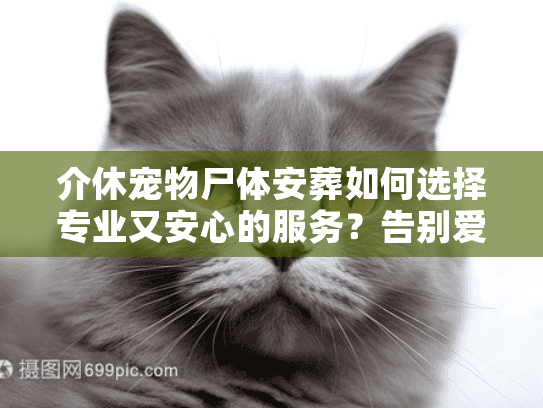 介休宠物尸体安葬如何选择专业又安心的服务？告别爱宠不再迷茫