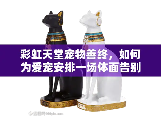 彩虹天堂宠物善终,如何为爱宠安排一场体面告别? 彩虹天堂宠物善终,如何为爱宠安排一场体面告别?