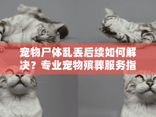 宠物尸体乱丢后续如何解决？专业宠物殡葬服务指南