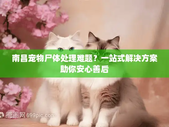 南昌宠物尸体处理难题?一站式解决方案助你安心善后 南昌宠物尸体处理难题?一站式解决方案助你安心善后