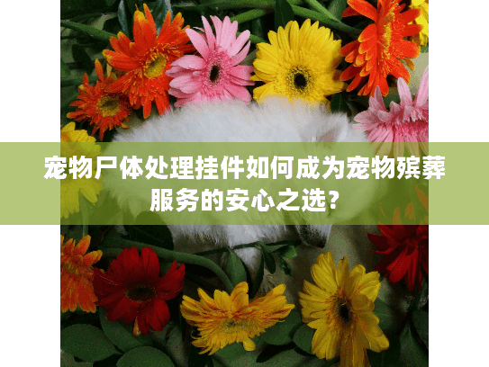 宠物尸体处理挂件如何成为宠物殡葬服务的安心之选？