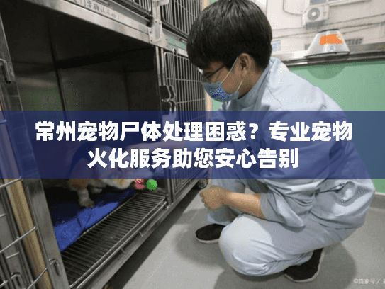 常州宠物尸体处理困惑？专业宠物火化服务助您安心告别