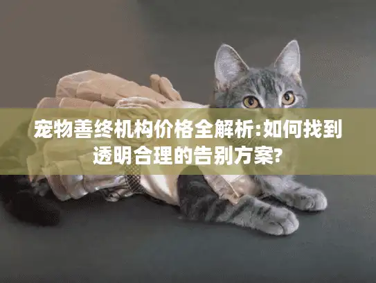 宠物善终机构价格全解析:如何找到透明合理的告别方案?