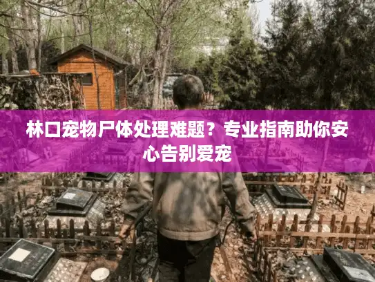 林口宠物尸体处理难题？专业指南助你安心告别爱宠