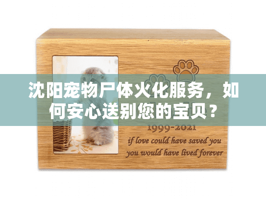 沈阳宠物尸体火化服务，如何安心送别您的宝贝？