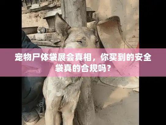 宠物尸体袋展会真相，你买到的安全袋真的合规吗？