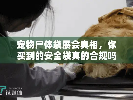 宠物尸体袋展会真相，你买到的安全袋真的合规吗？