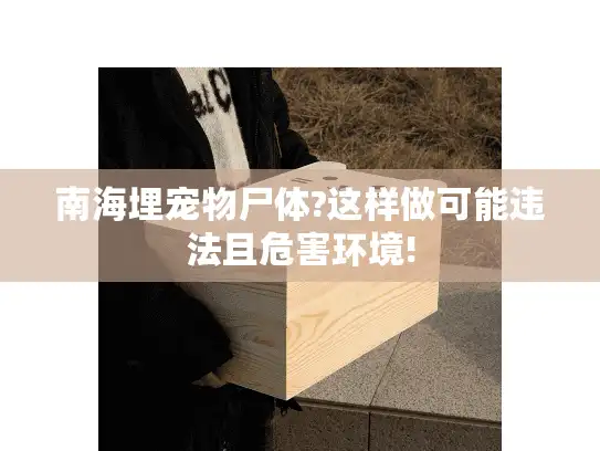 南海埋宠物尸体?这样做可能违法且危害环境!