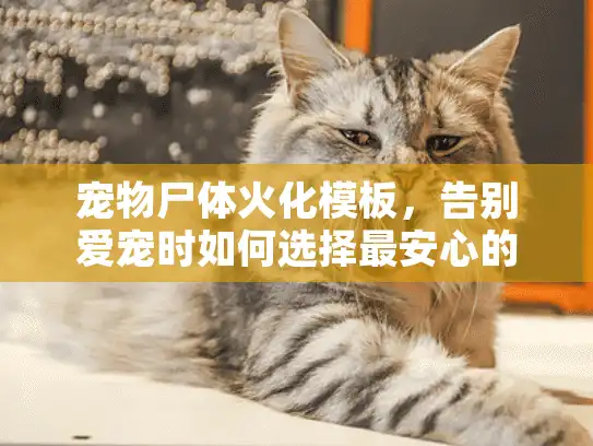 宠物尸体火化模板,告别爱宠时如何选择最安心的火化服务方案 宠物尸体火化模板,告别爱宠时如何选择最安心的火化服务方案