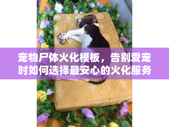 宠物尸体火化模板,告别爱宠时如何选择最安心的火化服务方案 宠物尸体火化模板,告别爱宠时如何选择最安心的火化服务方案