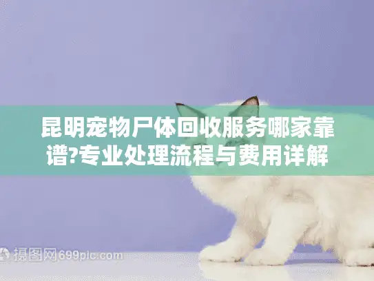 昆明宠物尸体回收服务哪家靠谱?专业处理流程与费用详解