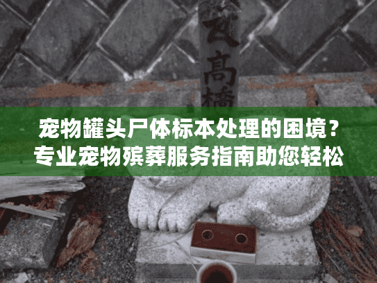 宠物罐头尸体标本处理的困境？专业宠物殡葬服务指南助您轻松应对