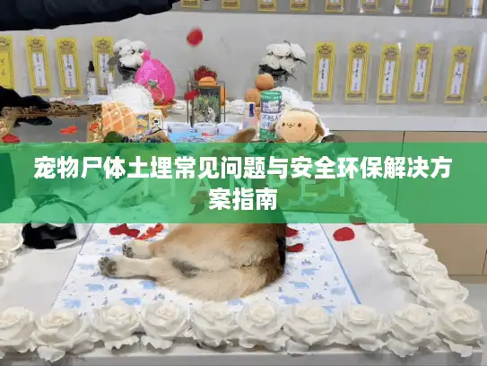 宠物尸体土埋常见问题与安全环保解决方案指南
