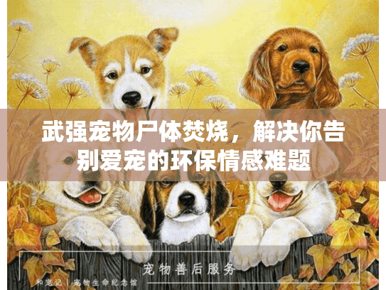 武强宠物尸体焚烧，解决你告别爱宠的环保情感难题