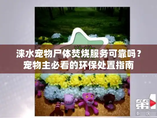 涞水宠物尸体焚烧服务可靠吗?宠物主必看的环保处置指南 涞水宠物尸体焚烧服务可靠吗?宠物主必看的环保处置指南