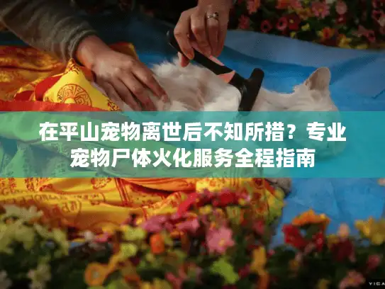 在平山宠物离世后不知所措？专业宠物尸体火化服务全程指南