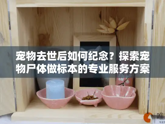 宠物去世后如何纪念？探索宠物尸体做标本的专业服务方案