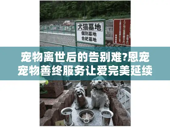 宠物离世后的告别难?恩宠宠物善终服务让爱完美延续