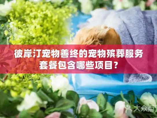 彼岸汀宠物善终的宠物殡葬服务套餐包含哪些项目? 彼岸汀宠物善终的宠物殡葬服务套餐包含哪些项目?