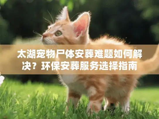 太湖宠物尸体安葬难题如何解决？环保安葬服务选择指南