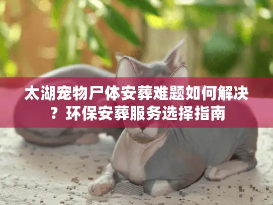 太湖宠物尸体安葬难题如何解决？环保安葬服务选择指南