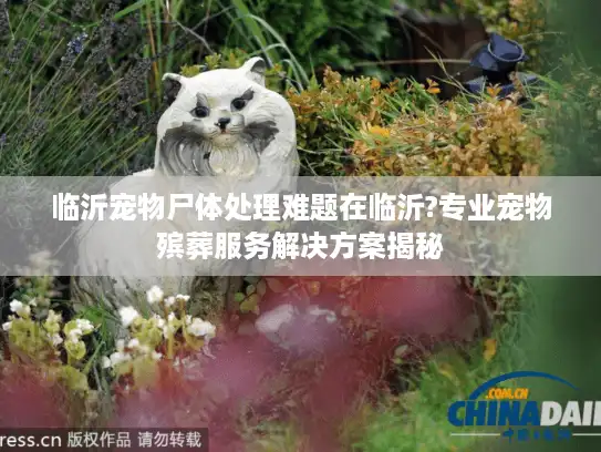 临沂宠物尸体处理难题在临沂?专业宠物殡葬服务解决方案揭秘