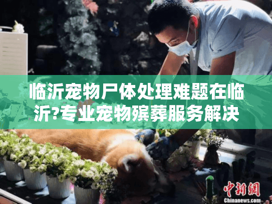临沂宠物尸体处理难题在临沂?专业宠物殡葬服务解决方案揭秘