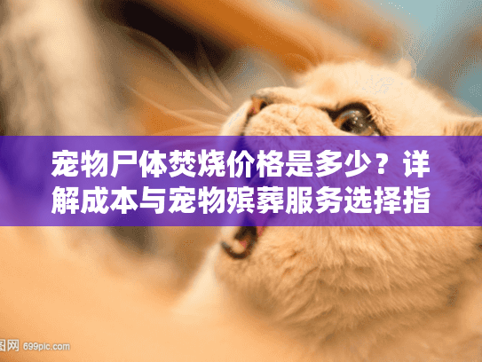 宠物尸体焚烧价格是多少？详解成本与宠物殡葬服务选择指南