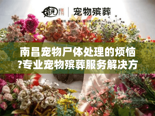 南昌宠物尸体处理的烦恼?专业宠物殡葬服务解决方案指南