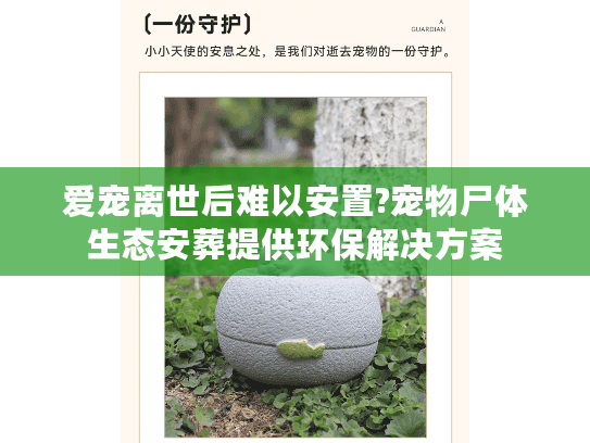 爱宠离世后难以安置?宠物尸体生态安葬提供环保解决方案