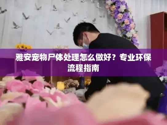 雅安宠物尸体处理怎么做好？专业环保流程指南