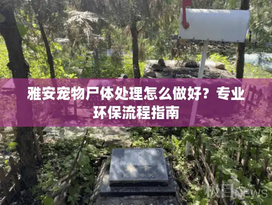 雅安宠物尸体处理怎么做好？专业环保流程指南
